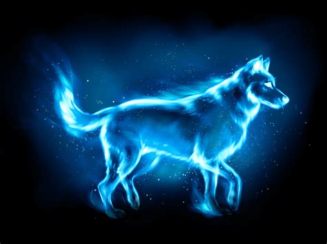 Snape said so, anyway. . Wolf patronus meaning